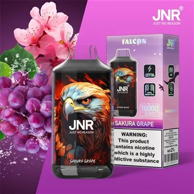 Jnr falcon 16000 vape